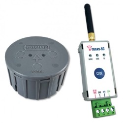 Detecteur Magnetometrique...