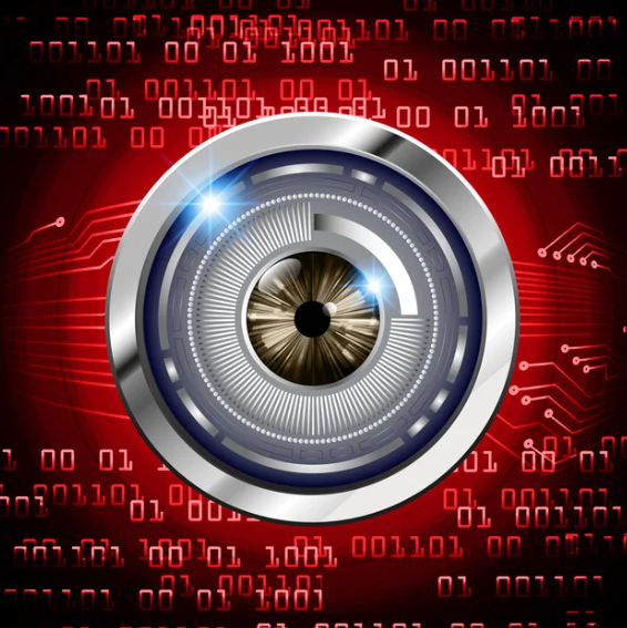 Les systèmes de sécurité les plus insolites dans le monde